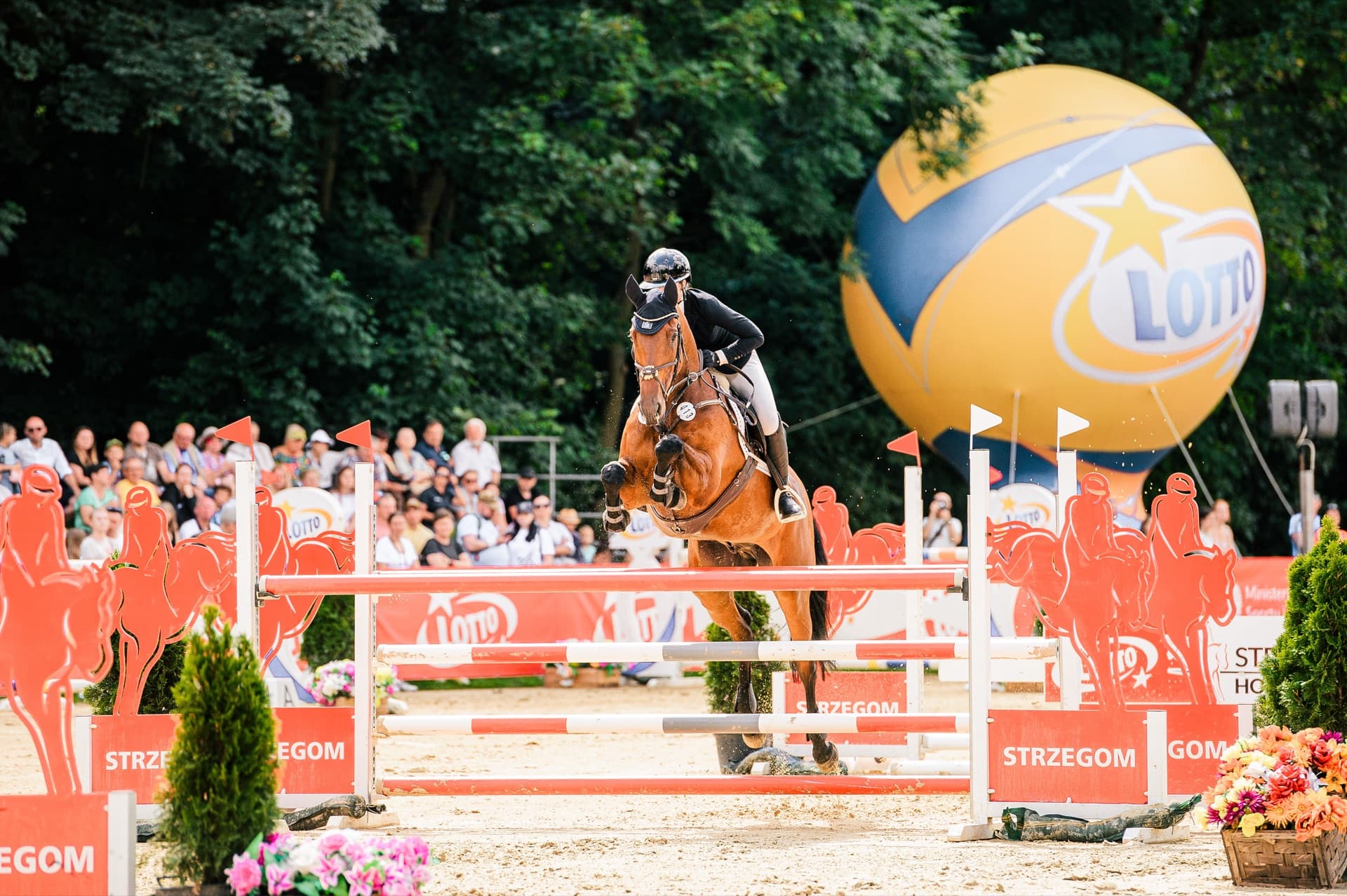 Grace Kay press photo — Show Jumping